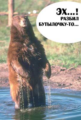 Следующая картинка "Животные"