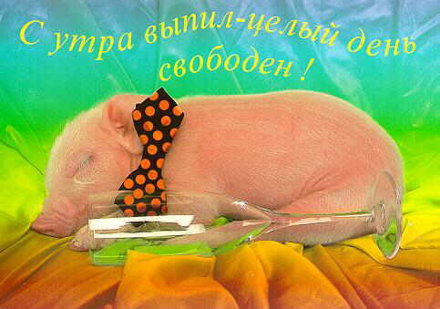 Следующая картинка "Животные"